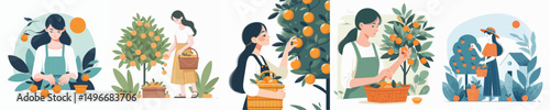 vector woman harvesting oranges