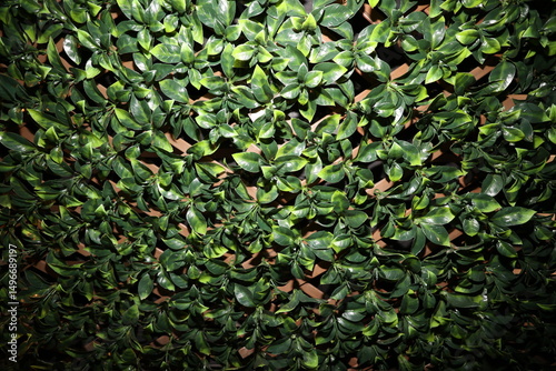 Artificial Leaf Wall with Diagonal Lattice Pattern