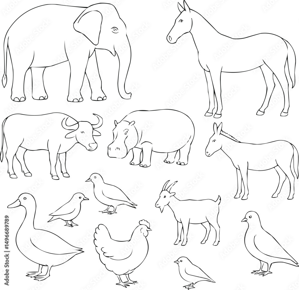 Obraz premium Animals line art collection