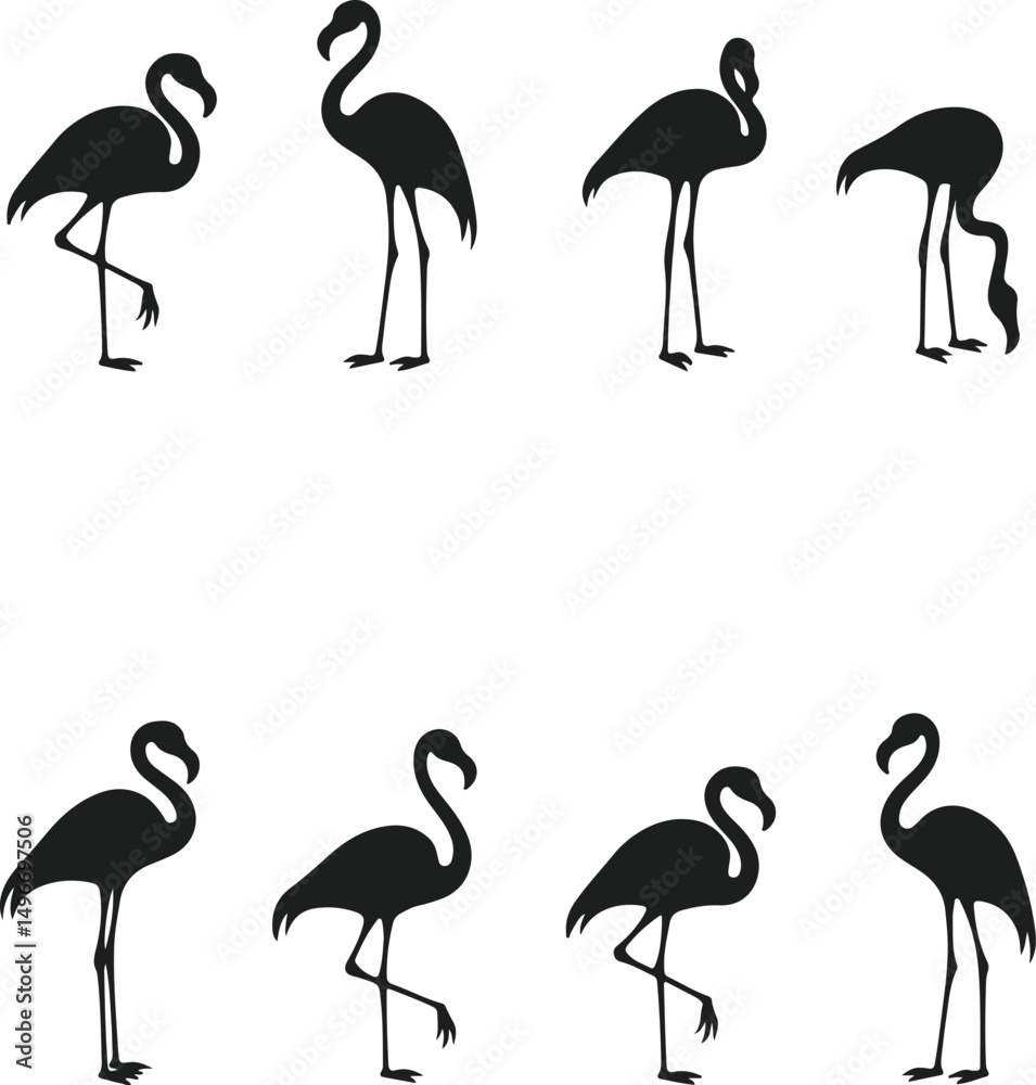 Obraz premium Elegant flamingo silhouette collection for design