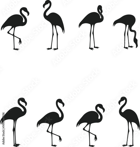 Elegant flamingo silhouette collection for design