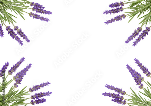 Aromatic lavender flower frame soothing purple blossom botanical fragrant border