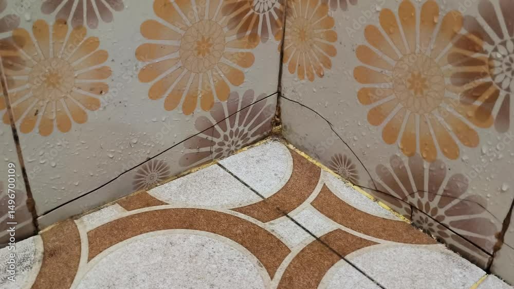 Cracked cement wall