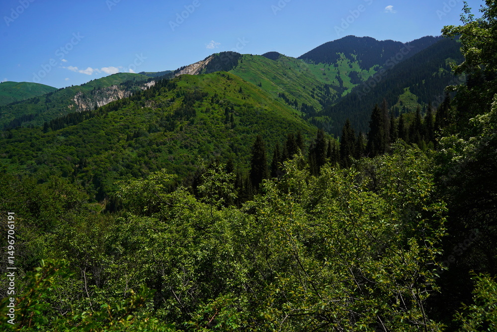 Fototapeta premium Aksai gorge. Mountainous area with different vegetation. The Tian Shan Mountains.