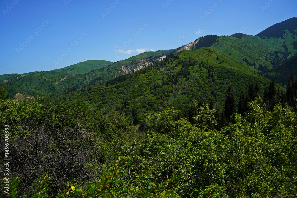 Fototapeta premium Aksai gorge. Mountainous area with different vegetation. The Tian Shan Mountains.