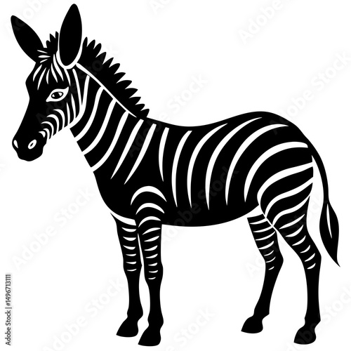 zebra vector illustration