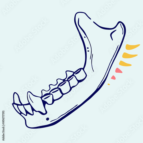 Stylized Jawbone Illustration: Dental Anatomy Art