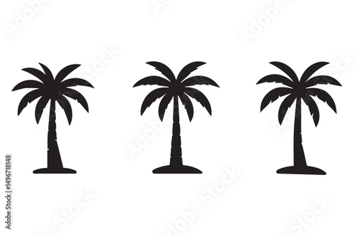 Coconut tree Silhouette Vector on white background