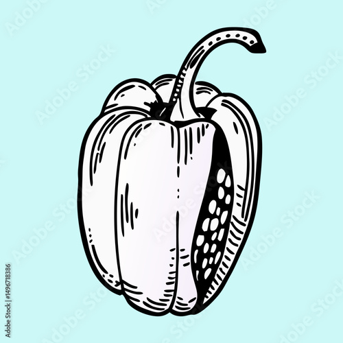 Hand-drawn illustration of a halved bell pepper