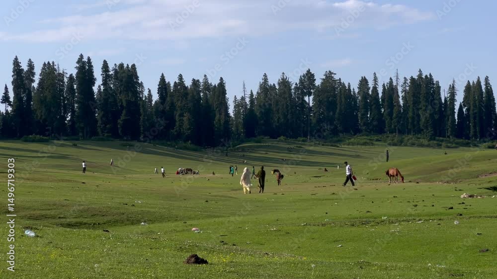Kupwara and doodpathri Budgam kashmir looks same beautiful and attractive destination wast rangeland and green fields Clip 44 Kupwara and doodpathri Budgam kashmir looks same beautiful and attractive destination wast rangeland and green fields Clip 44