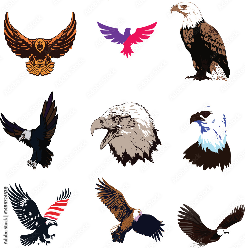 Obraz premium Eagle,colour eagle