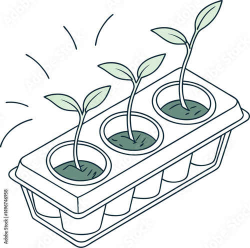 plant in pot