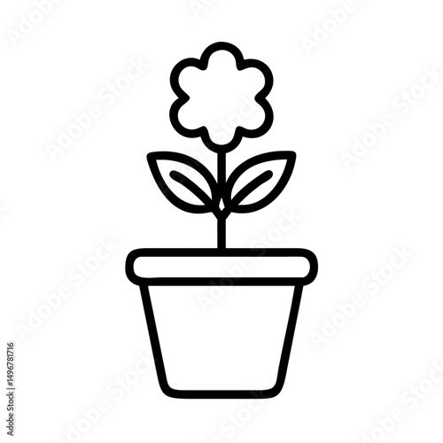flower in a pot