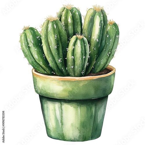 Cactus in Ceramic Pot PNG