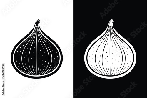 Fig Fruit Vector Design. Botanical Sketch and Slice Illustration in Black and White