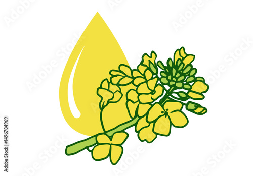 Canola flower and rapeseed oil drop icon. linear illustration of plant flowers on white background for icon, poster, packaging design