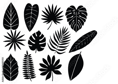 Tropical Leaf Silhouettes  A Collection of Exotic Plant Designs