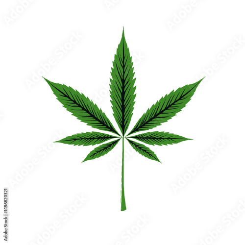 Single cannabis leaf illustration on white