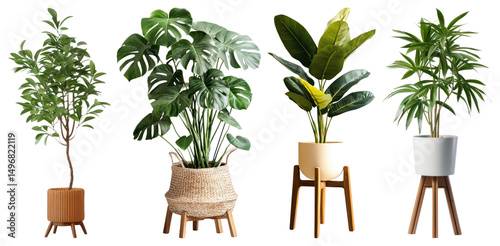 PNG Stylish indoor potted plants, element set on transparent background