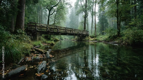 Misty forest bridge reflecting in calm river