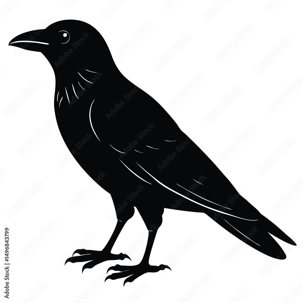 Fototapeta premium Majestic Raven Silhouette A Black Bird Illustration