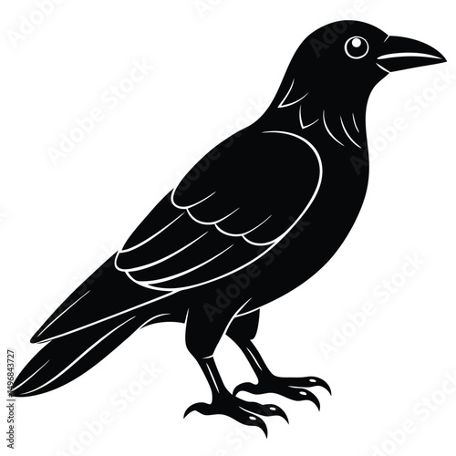 Elegant and Mysterious Solitary Crow Silhouette Illustration, an Avian Symbol of Intelligence and Watchfulness
