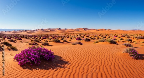 Vibrant wildflowers blooming in sundrenched desert