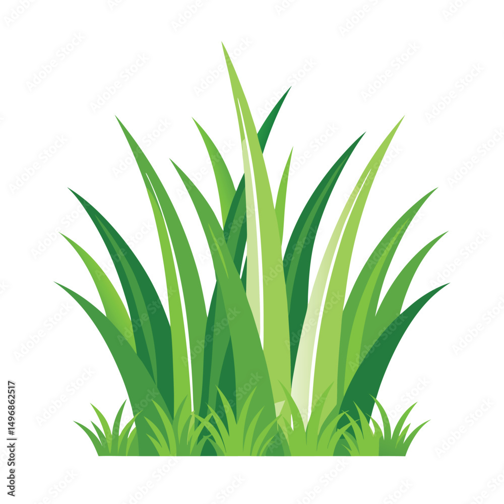 Obraz premium Green Grass Borders Set Isolated White Background With Gradient Mesh, Vector Illustration.