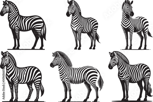 Six black and white zebras in different poses wildlife animals