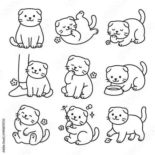 Cute Scottish-fold kittens in various poses and playful situations  