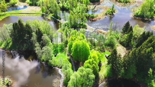 Aerial View Of Boardwalk Through The Trees In L photo