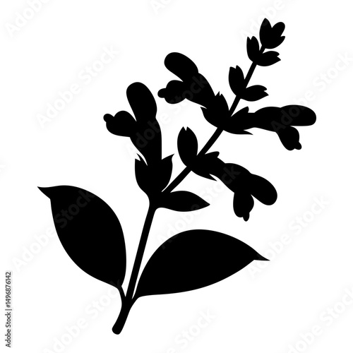 Detailed silhouette illustration of a blooming salvia plant with elegant leaves
