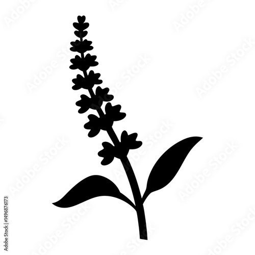 Striking Silhouette of a Lavender Plant Blossom with Simplistic Elegance