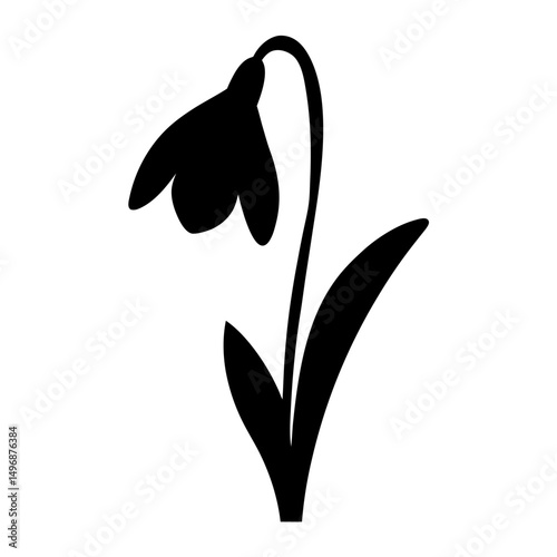 Elegant single snowdrop flower silhouette on a white background, minimalist aesthetic