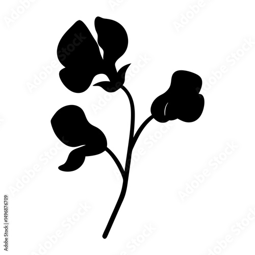 Elegant Black Silhouette of Sweet Pea Flower with Stem and Leaves