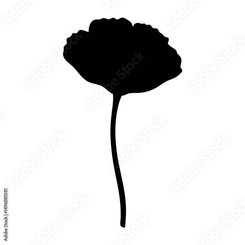 Elegant silhouette of a single poppy flower against a pristine white backdrop