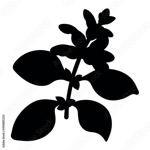 Striking silhouette of a flowering herb plant with lush foliage, isolated view