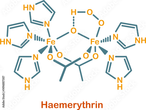 Chemical structure of haemerythrin