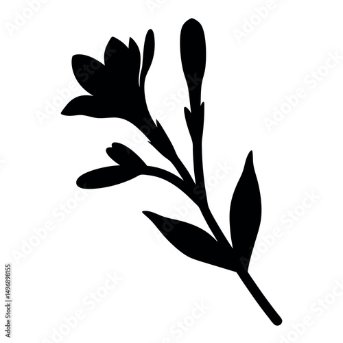 Silhouette of a Freesia flower with blooms, buds, stem, and leaves