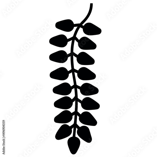 Silhouette Illustration of a Hanging Cluster of Seeds or Buds on a Vine