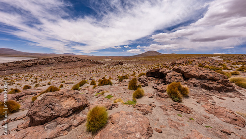 Fototapeta Naklejka Na Ścianę i Meble -  Uyuni - San Pedro de Atacama Bolivia.