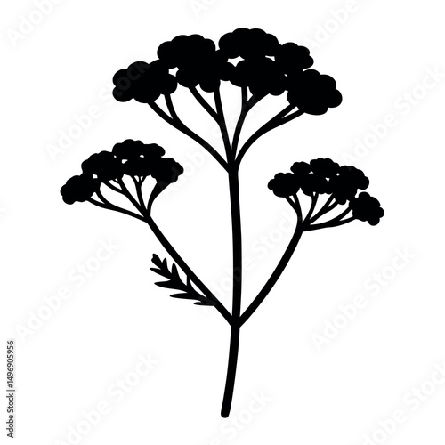 Silhouette of a Yarrow Plant Displaying a Simple and Elegant Design