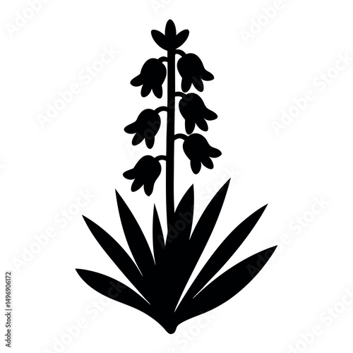 Silhouette Illustration of a Hyacinth Flower Plant with Leaves and Blossoms