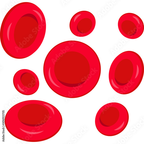 Red Blood Cells
