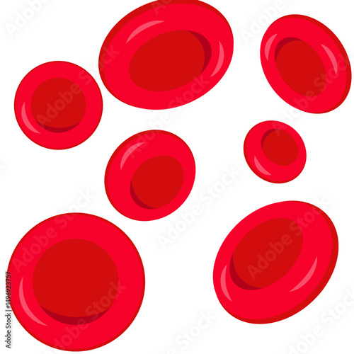 Red Blood Cells