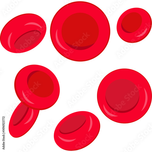 Red Blood Cells