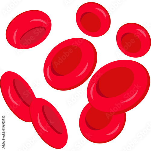 Red Blood Cells