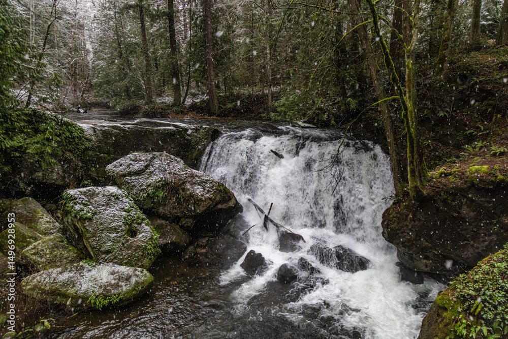 Obraz premium waterfall in the forest