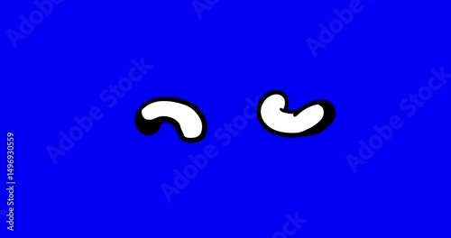 Cashew two pieces black and white rotating on blue screen. Cartoon whiteboard linear animated food plant fruit nut fragment orbiting isolated on bluebox background. 