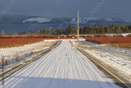 road in winter